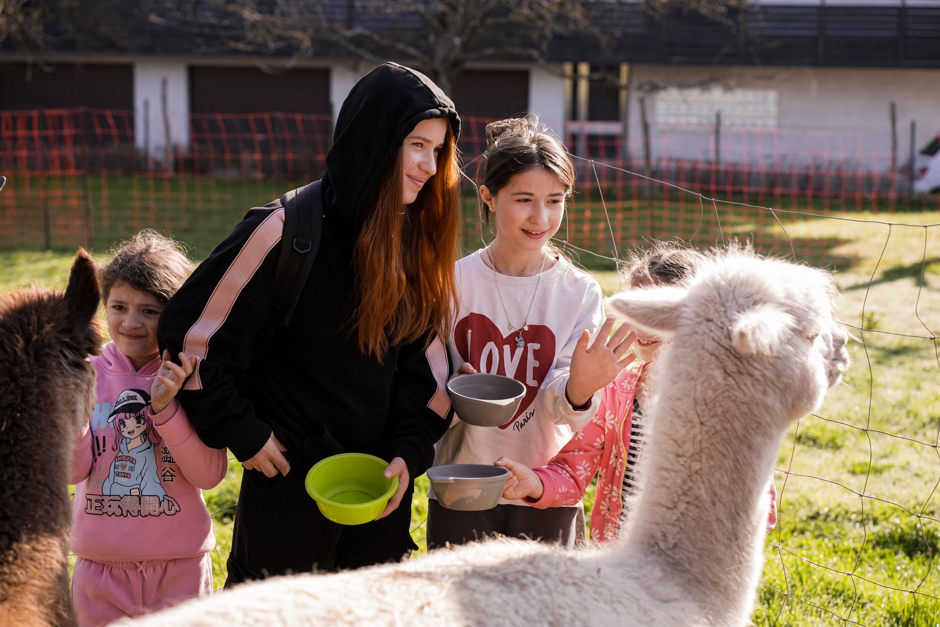 Zwei Mädchen geben Alpakas Futter. Sie lächeln.