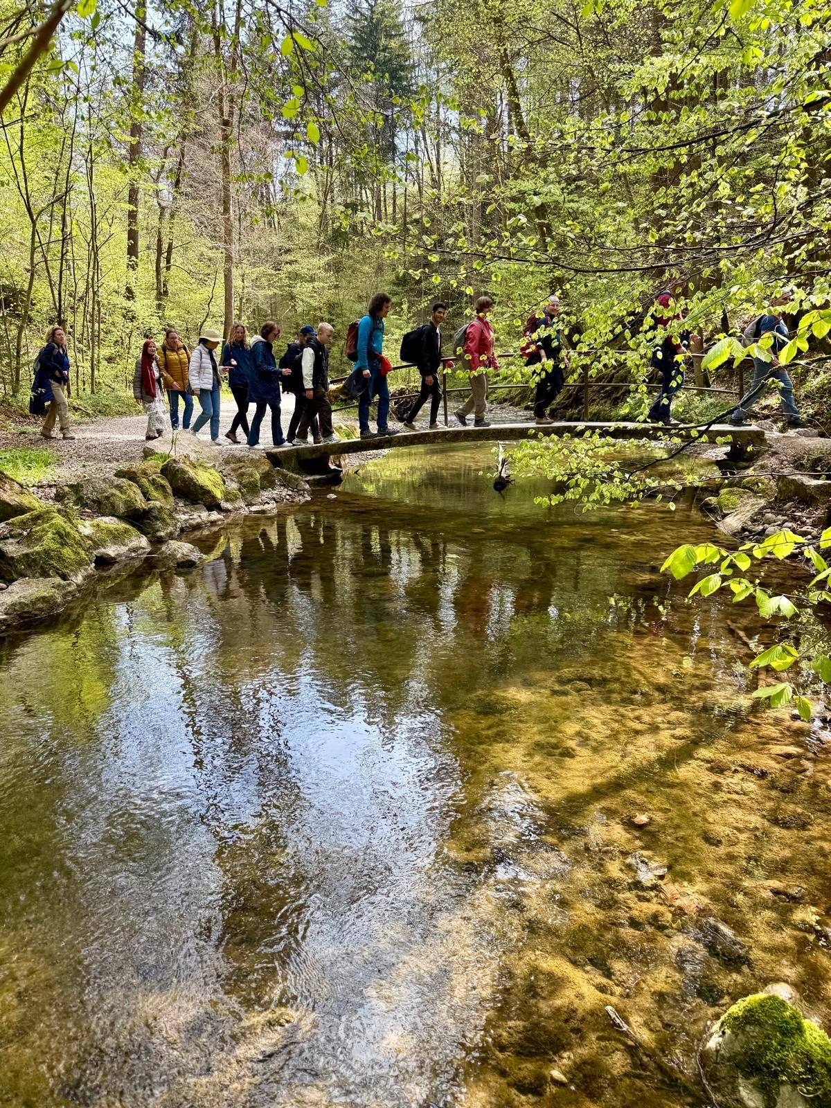 Eine Gruppe von zehn Personen überquert eine kleine Brücke über einen klaren Bach in einem Waldgebiet. Bäume und frisches Laub umgeben die Szene.