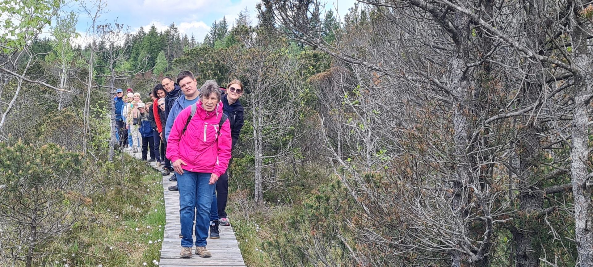 Eine Gruppe von Personen steht auf einem Holzsteg in einer bewaldeten Umgebung. Die meisten tragen Freizeitkleidung, eine Person in pinkem Anorak steht vorne.