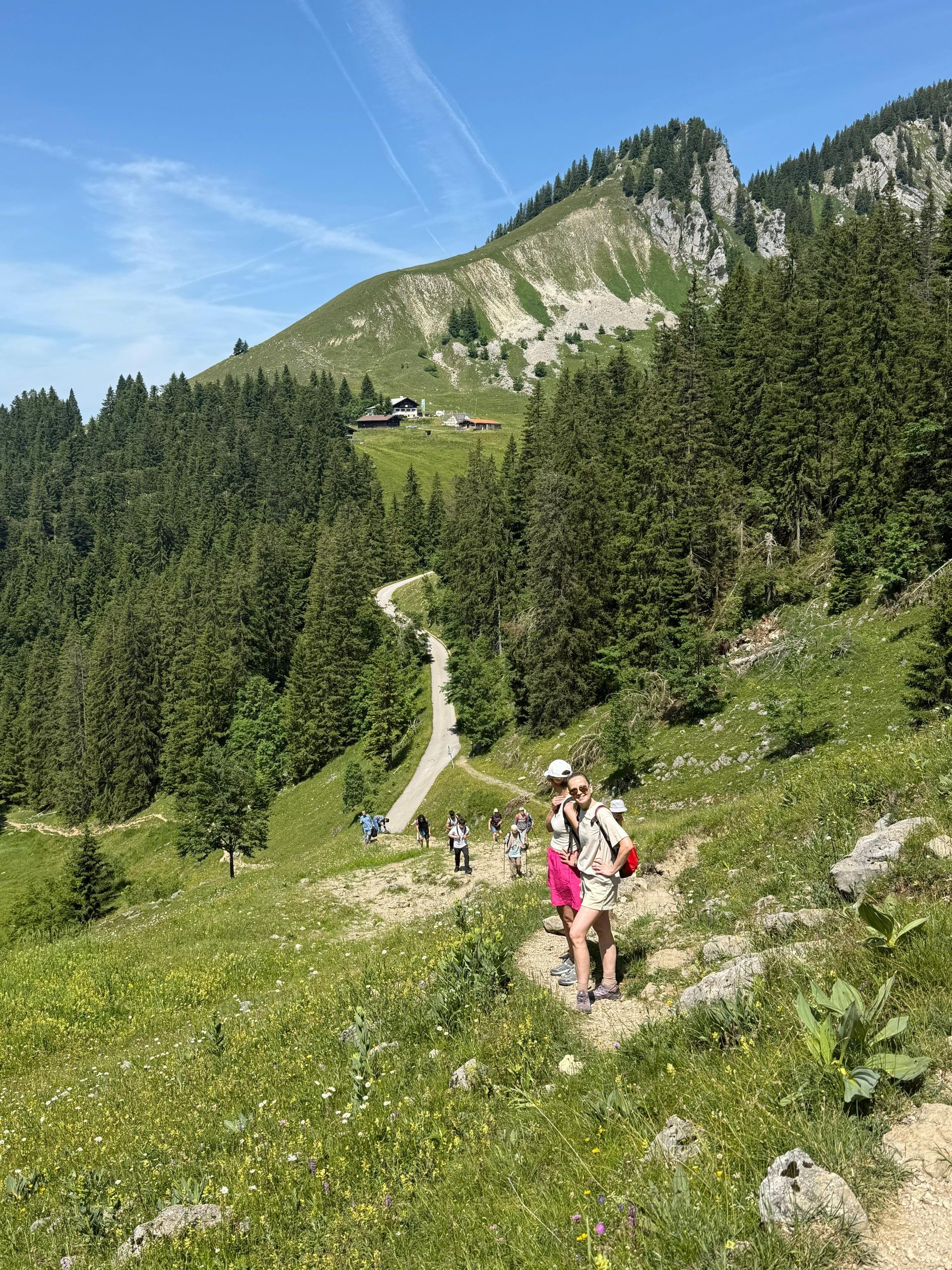 Wanderer auf einem Pfad in den Alpen mit grünen Wiesen, Nadelbäumen und einem Berghaus im Hintergrund unter blauem Himmel