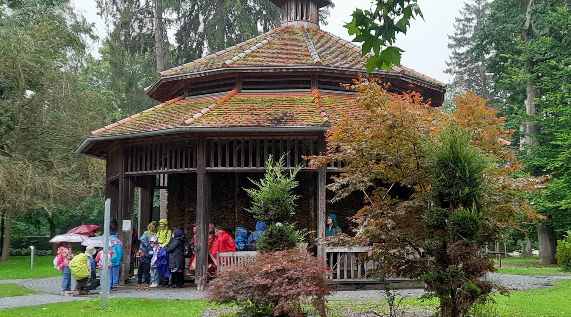 Holzpavillon mit rundem Dach und Moosbewuchs, umgeben von Bäumen und Sträuchern, davor stehen mehrere Personen mit bunten Regenjacken und Regenschirmen.
