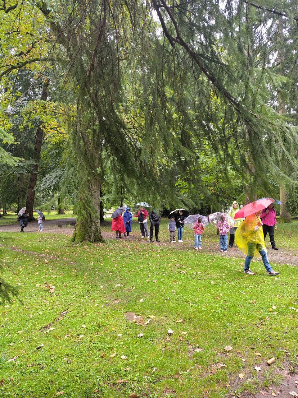 Menschen mit Regenschirmen und Regenkleidung gehen über eine Wiese  im Park unter großen Bäumen.