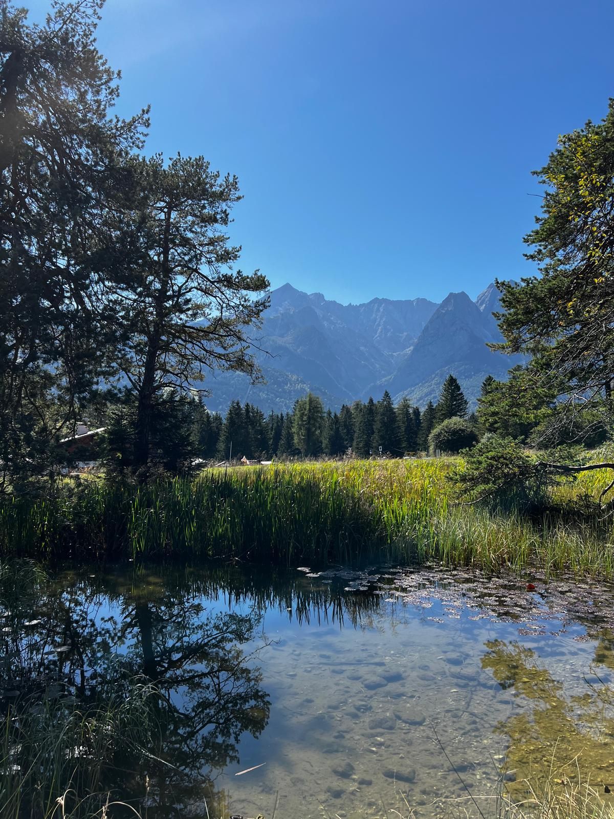 Klares Bergpanorama mit Nadelbäumen, Wiese und spiegelndem Teich im Vordergrund unter blauem Himmel.
