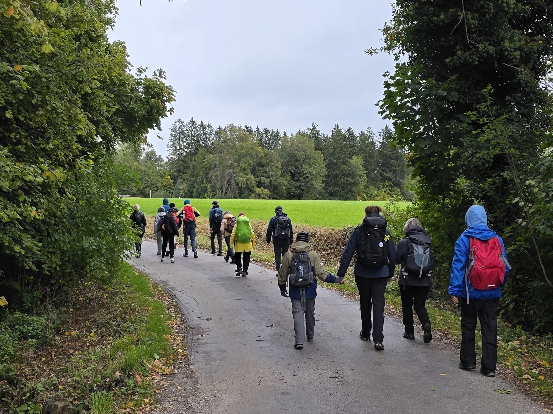 Gruppe von Wanderern mit Rucksäcken auf einem Weg zwischen Bäumen und Wiesen bei bewölktem Himmel.