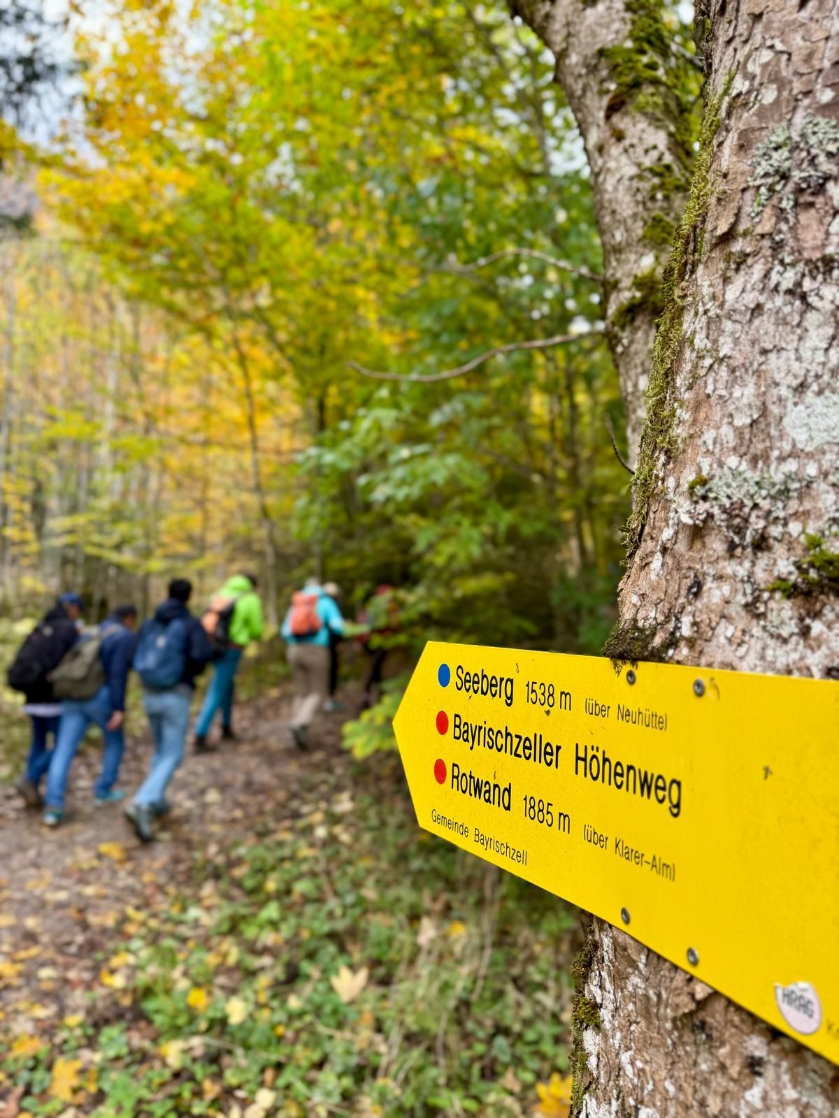 Wanderwegweiser mit Zielen und Höhenangaben an einem Baum, im Hintergrund Wanderer auf Waldweg mit herbstlichem Laub.