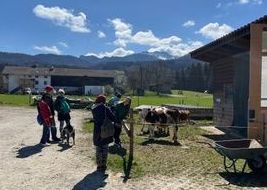Drei Personen mit Hunden stehen auf einem Bauernhofweg, beobachten Kühe neben einem Stall, Berge im Hintergrund