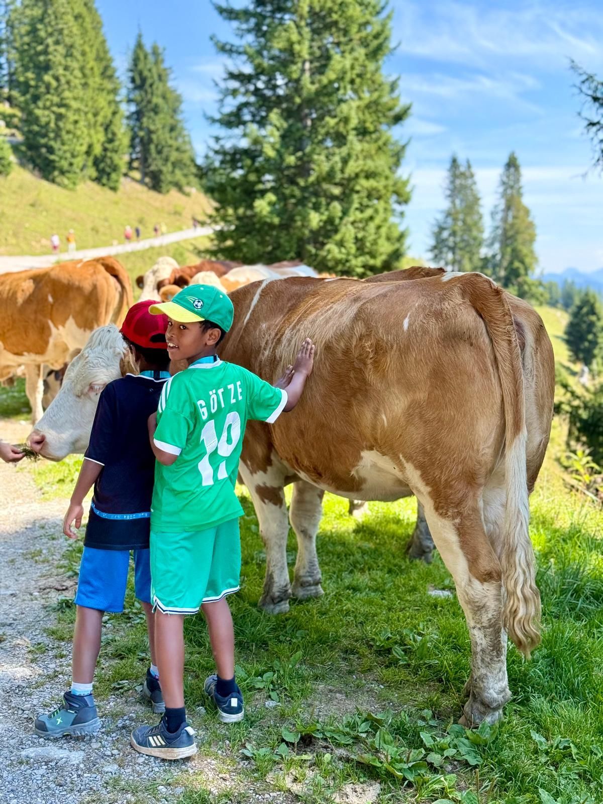 Zwei Kinder stehen auf einem Weg und streicheln eine Kuh, die direkt neben dem Weg steht.