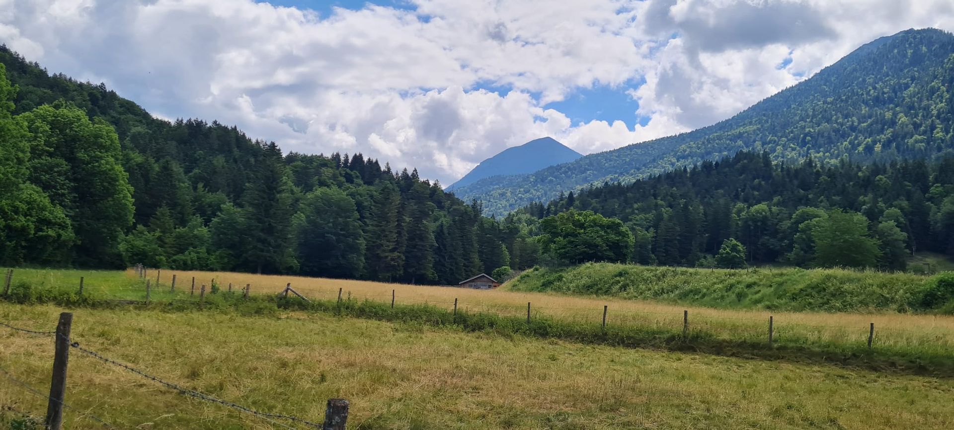 Berglandschaft mit bewaldeten Hügeln, Wiesen und einem bewölkten Himmel in Ohlstadt