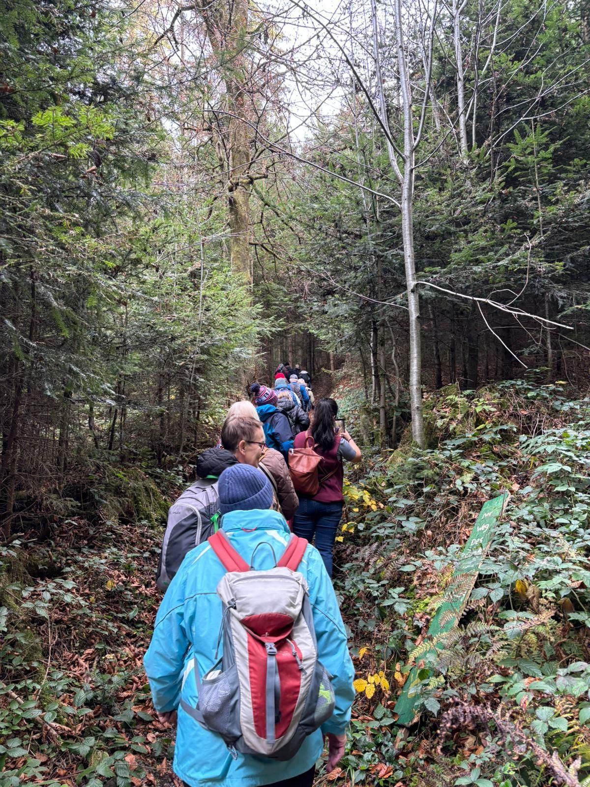 Gruppe von Wanderern mit Rucksäcken auf schmalem Waldweg, umgeben von Bäumen und dichtem Unterholz.