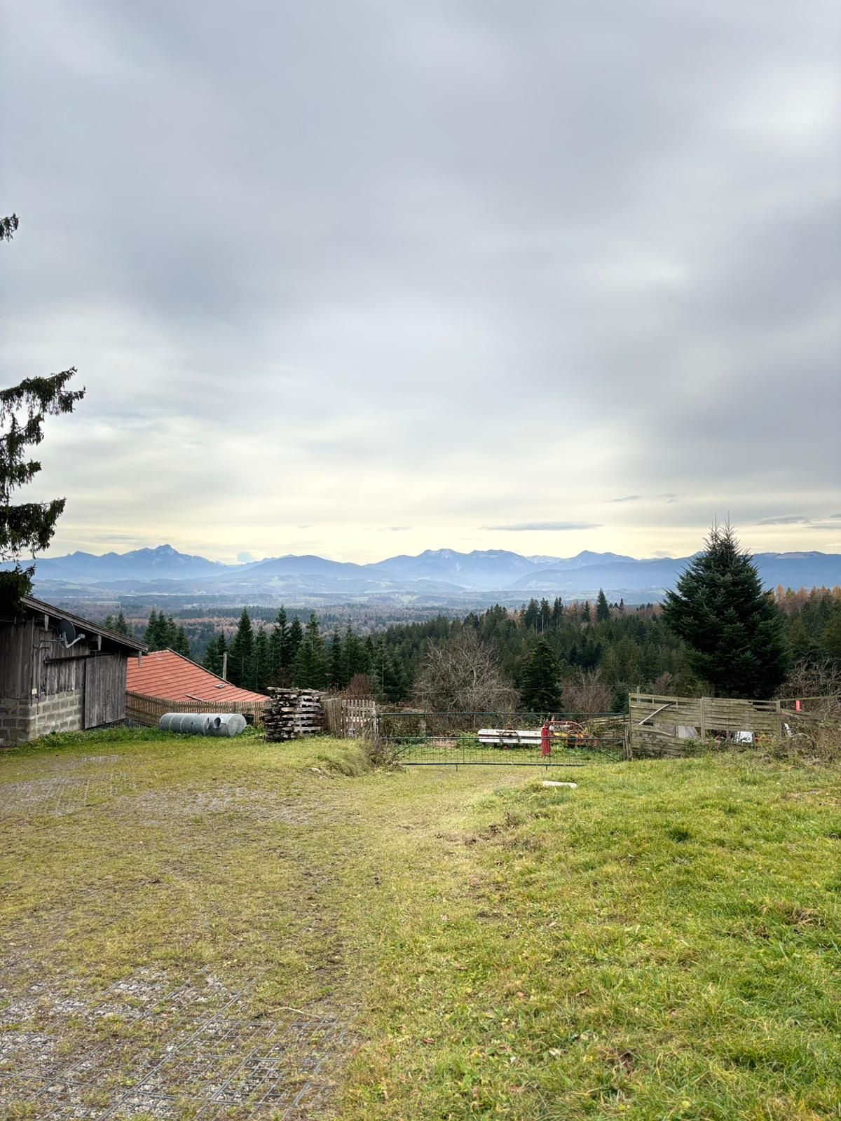 Landschaft mit Wiese und Wald, links ein Holzhaus mit rotem Dach, im Hintergrund Berge unter bewölktem Himmel.