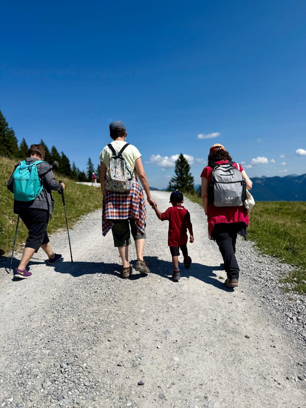 Vier Personen wandern auf einem Schotterweg. Eine Person mit Wanderstöcken, zwei Erwachsene und ein Kind halten sich an der Hand. Die Gruppe trägt Rucksäcke.
