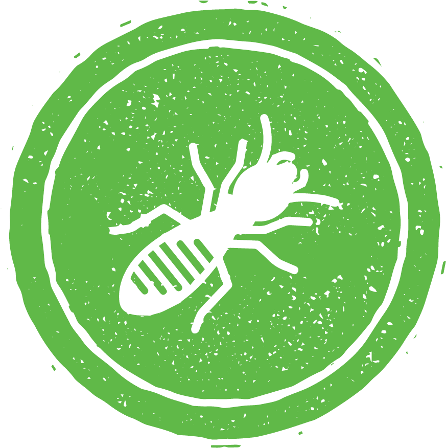 Termifilm contra termitas Termifilm contra termitas