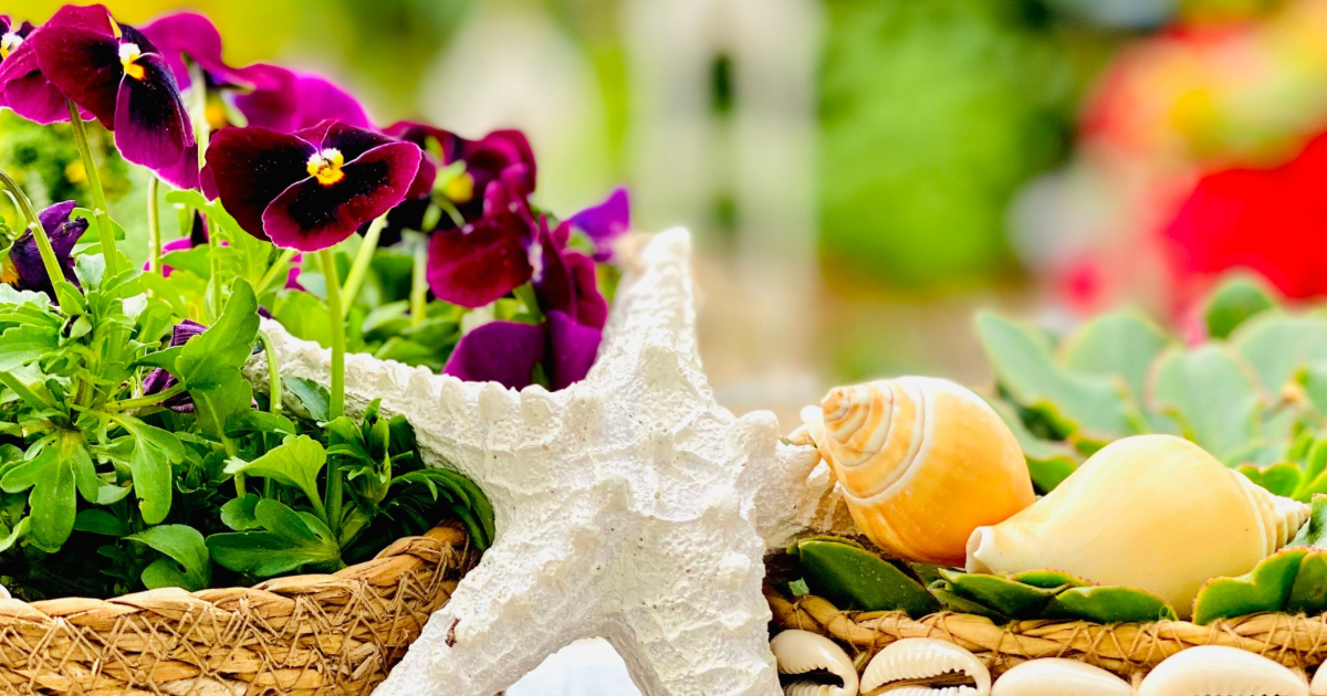 Pinke Stiefmütterchen mit maritimer Deko