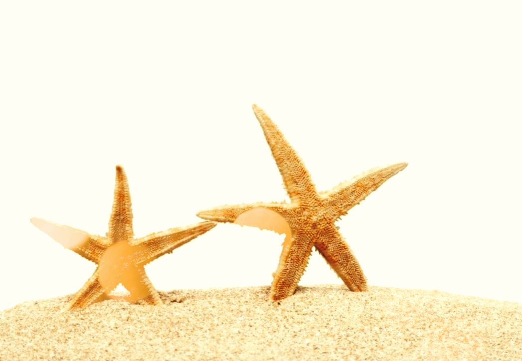 Seesterne im Sand – Symbol für Verbindung und Begleitung.