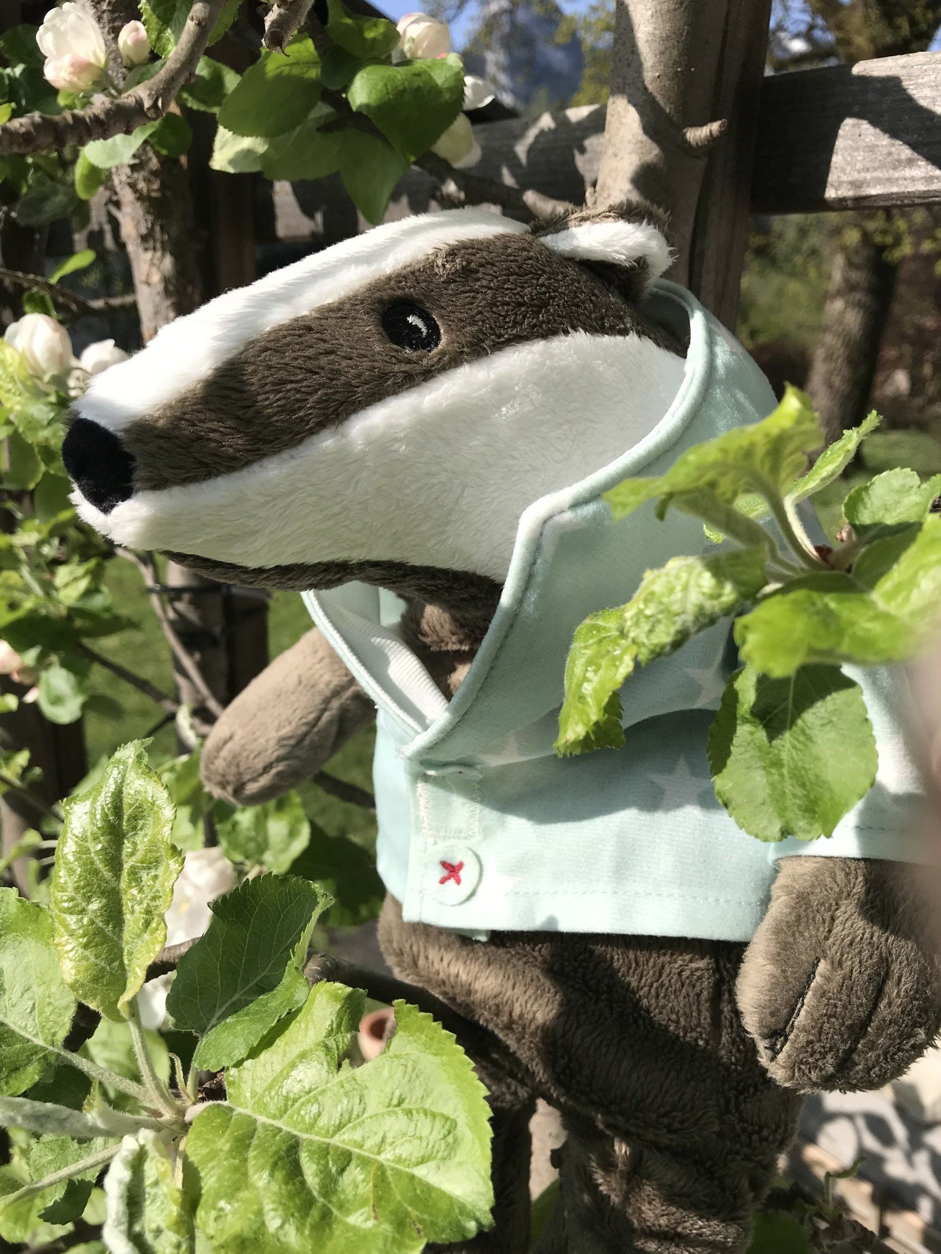 Buchtipp: Leb wohl, lieber Dachs von Susan Varley Buchtipp: Leb wohl, lieber Dachs von Susan Varley