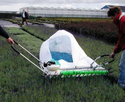 Eazycut Beet Stutzmaschine tragbar