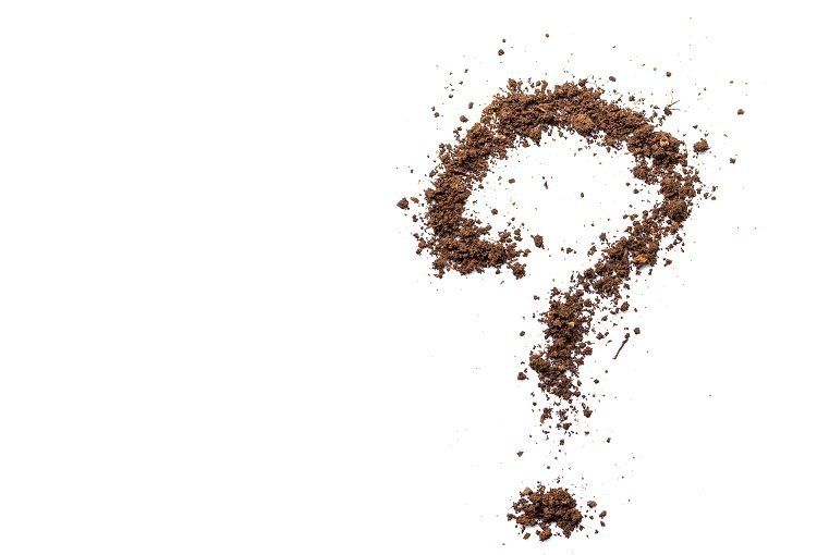 Ils sont là mes défauts