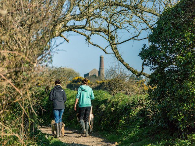 King Edward Mine Walks