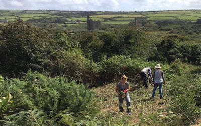 King Edward Mine Gorse clearing