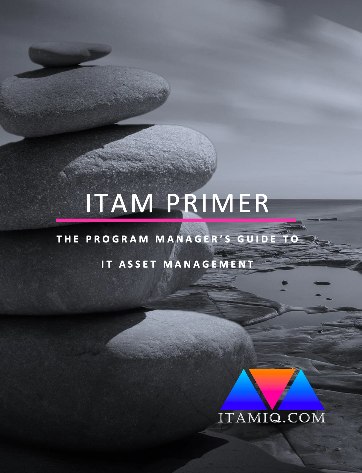 ITAM IQ's ITAM Primer - The Program Manager's Guide to IT Asset Management Cover