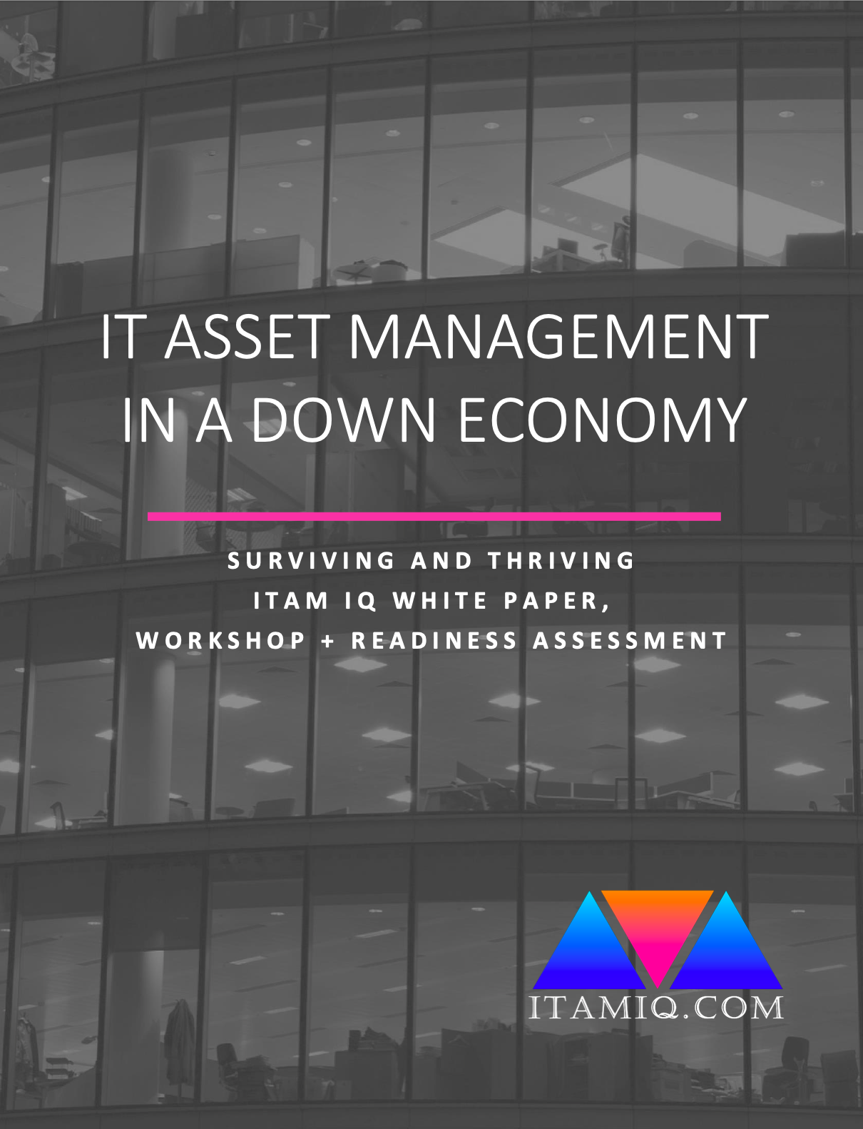 ITAM in a Down Economy, IT Asset Management Free Course