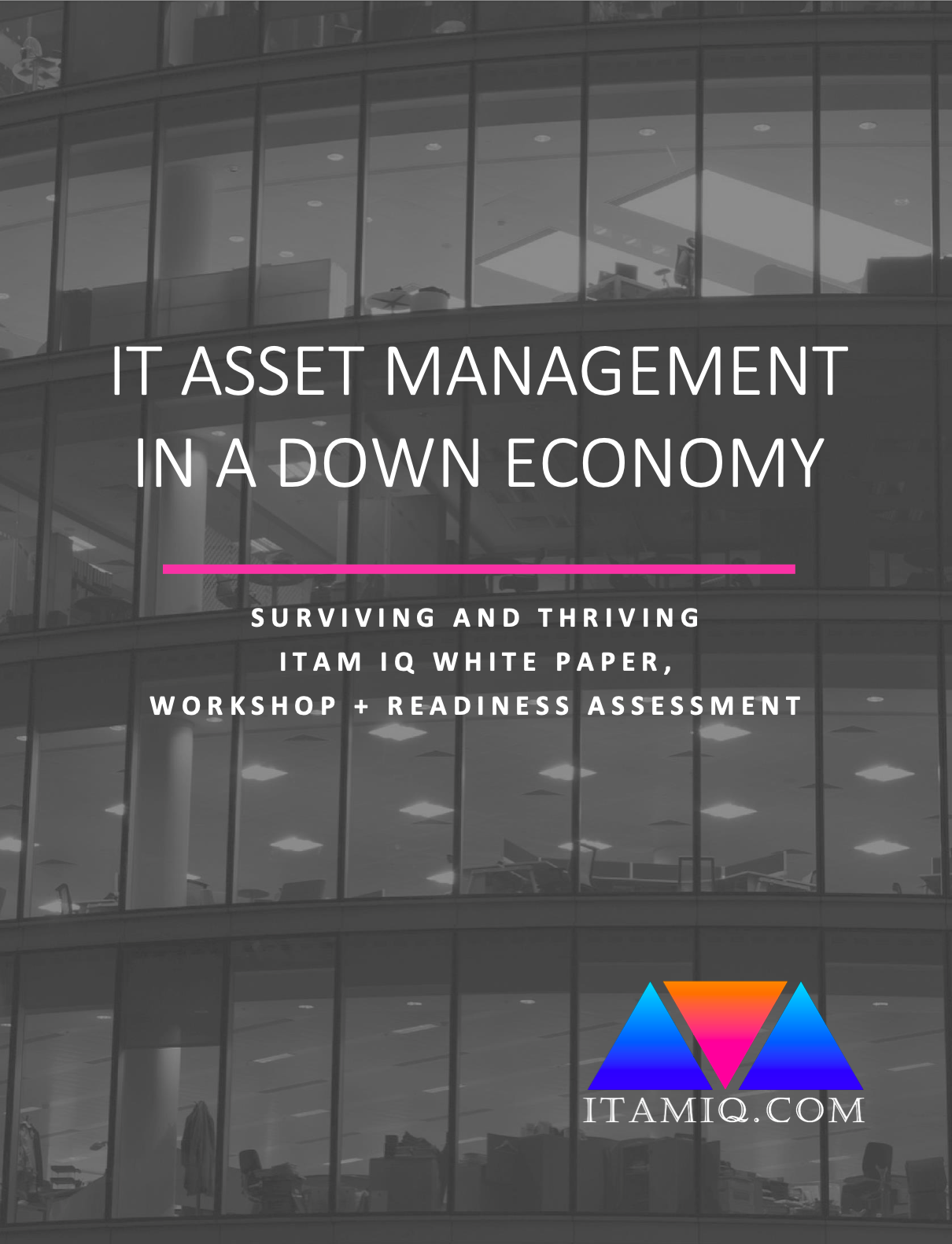 ITAM IQ's IT Asset Management in a Down Economy free ITAM course cover