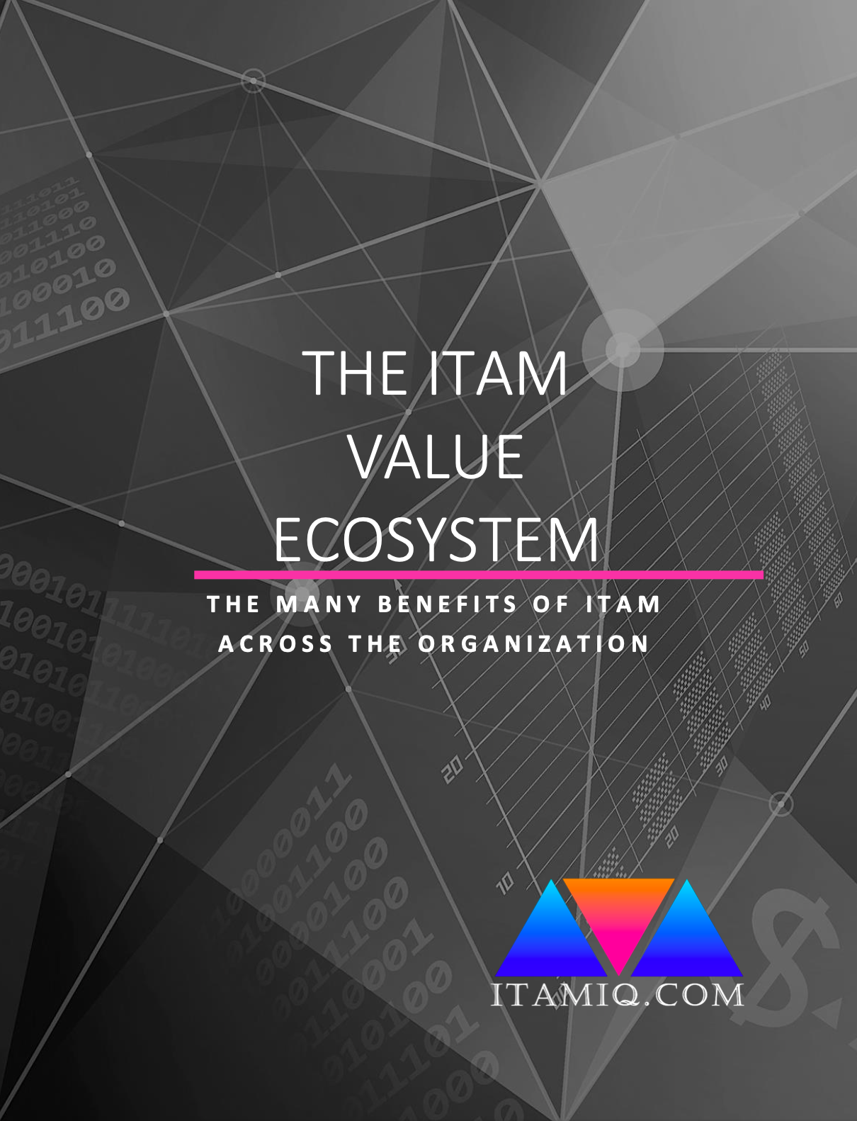 ITAM Value Ecosystem Cover