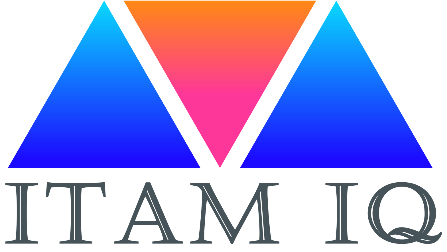 ITAM IQ