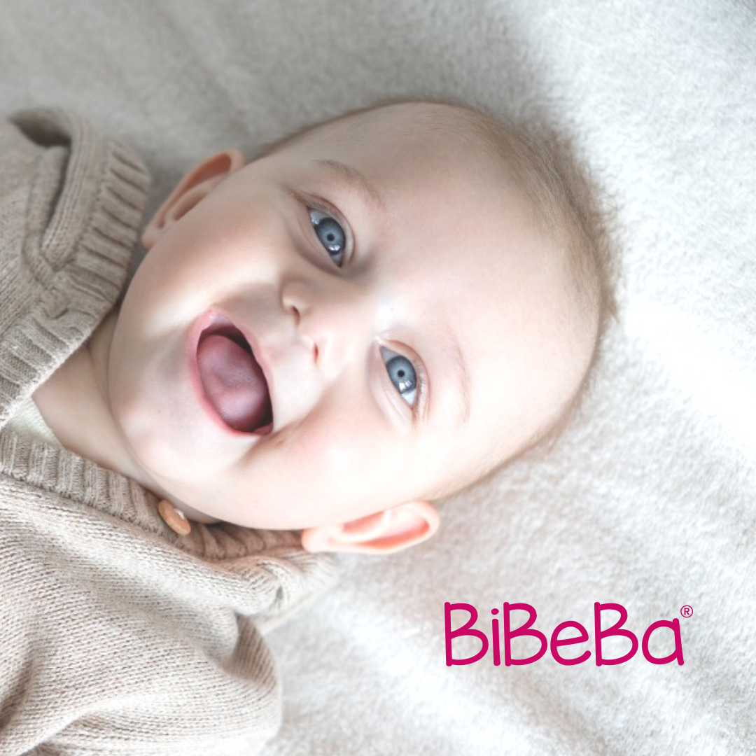 BiBeBa, Babykurs, Eltern-Kind-Kurs, Baby, Schwangerschaft, schwanger, Geburt, Wochenbett, Kleinkind, Fortbildung, Weiterbildung, Familie, Mama, Papa, Eltern, Geschwister, BabySteps, PEKiP, Fabel, Krabbelgruppe, Kinderturnen, Kinderkurs, Babymassage, Stillen, Fläschchen, Schlaf, Babyschlaf, Kinderschlaf, Beikost, Trotzphase, Wickeln, Geburtsvorbereitungskurs
