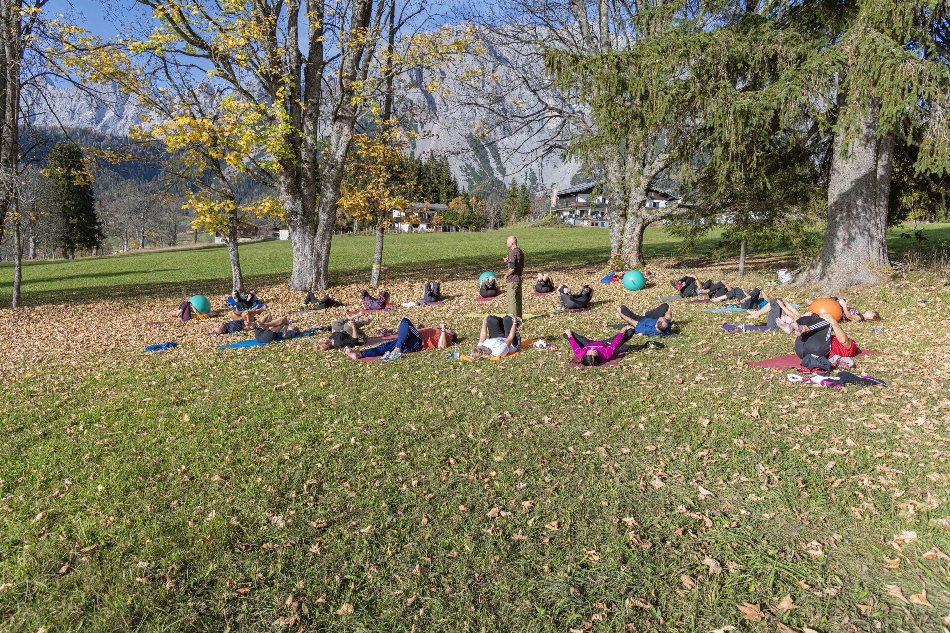 Bewegung in der Natur