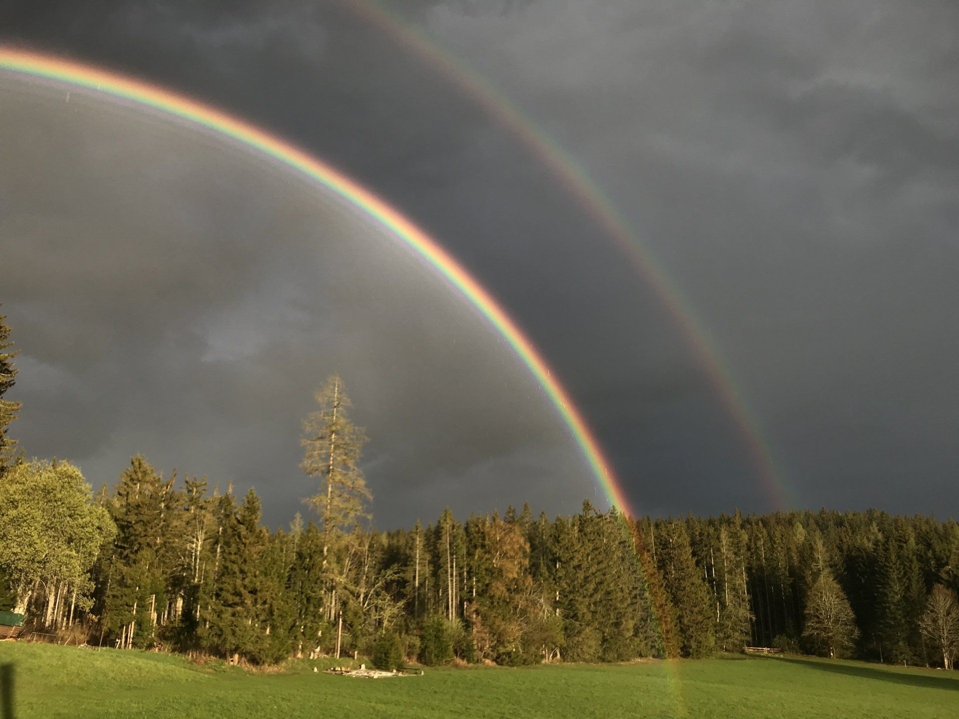Kraftplatz mit Wiese