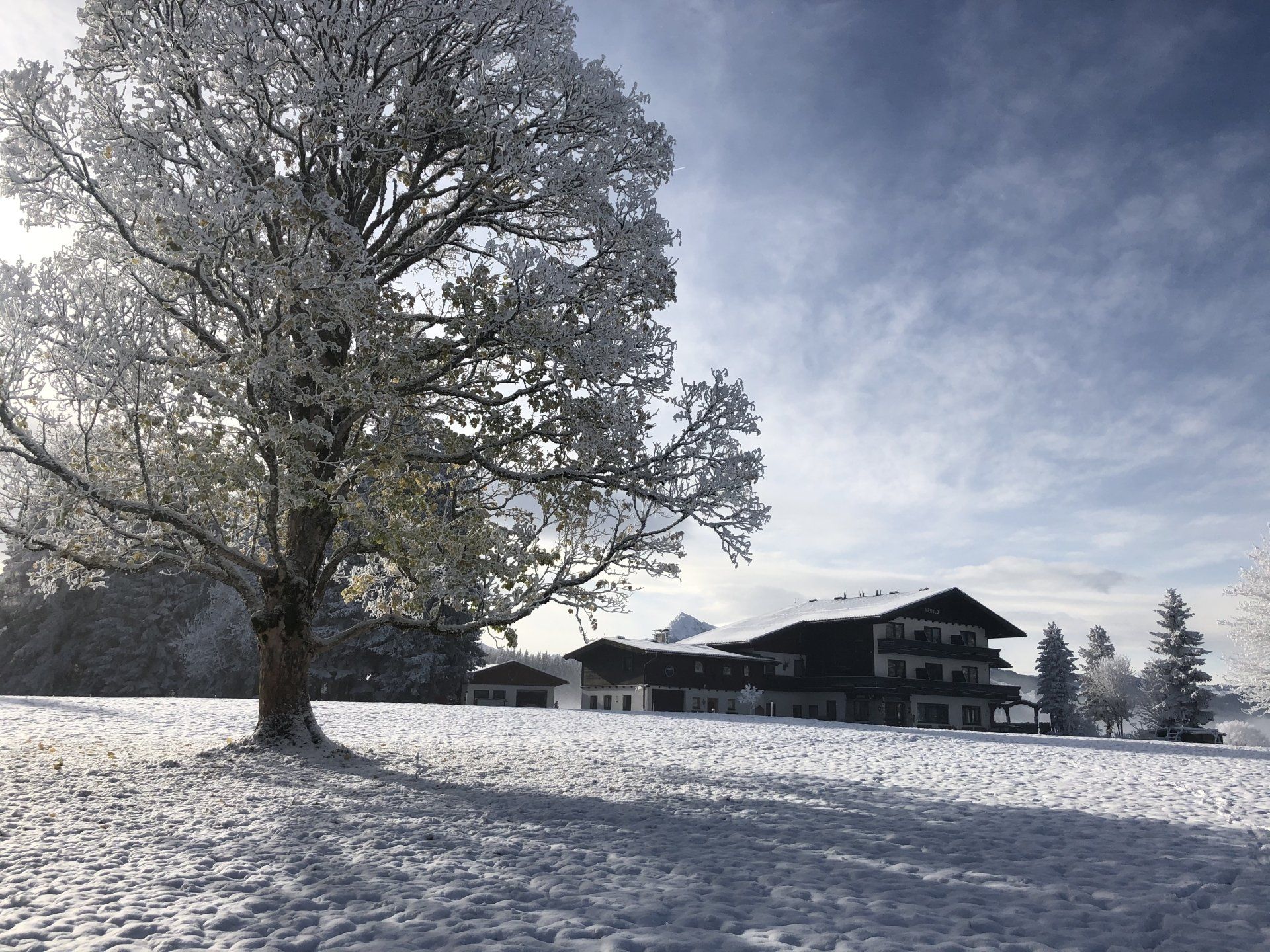 Kraftplatz am Dachstein
