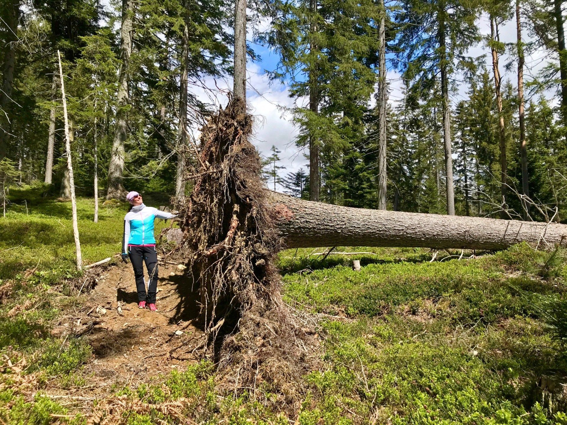 Doris Prugger mit Wurzel