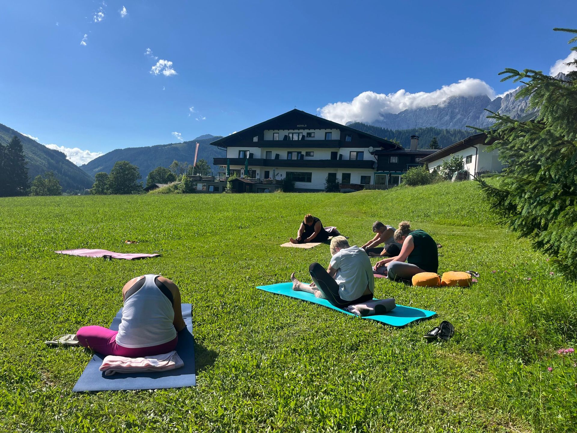 Yoga Wiese