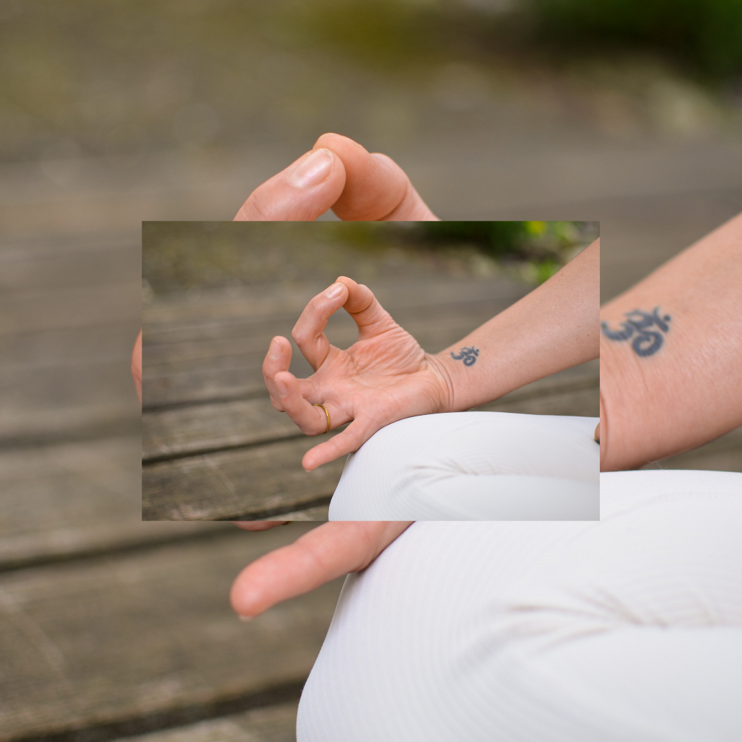 Yogakurse bei le moment in Köln Nippes Yoga, Köln, Yogakurse, Köln Nippes