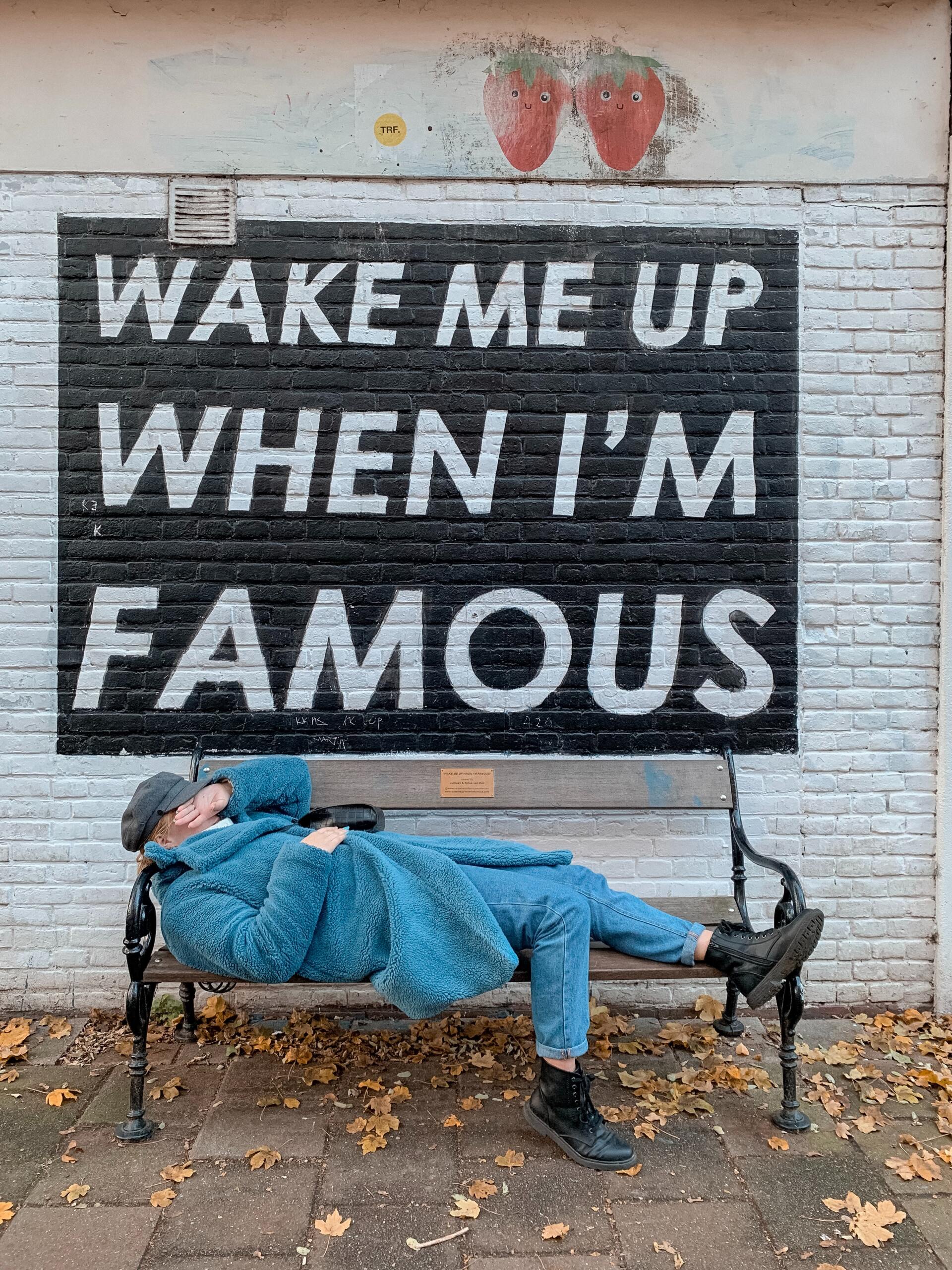 wake me up when I'm famous