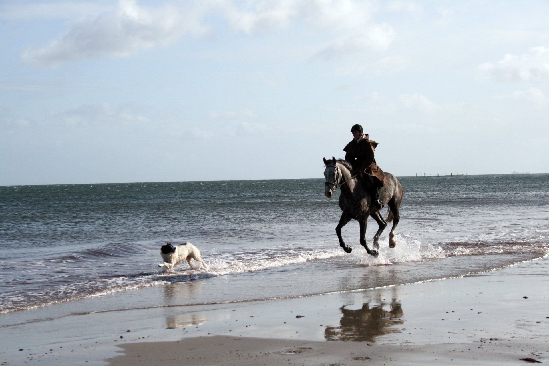 Strandausritt Fehmarn Reiten Krimi Buch Nadine Witt Hund Pferd Natur genießen