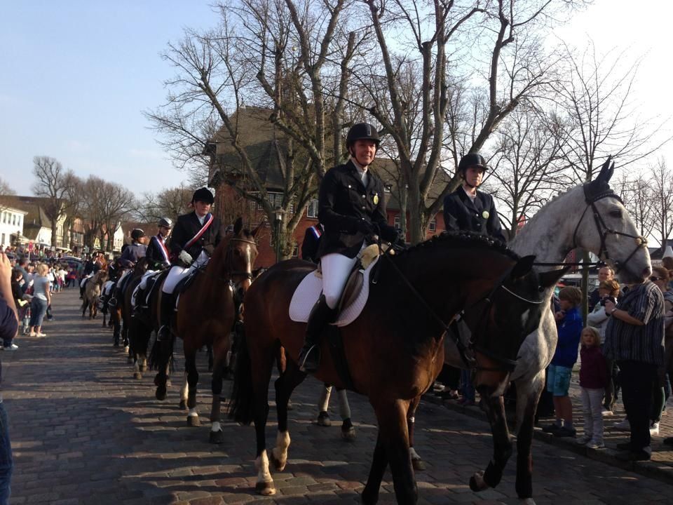 Pferdeparade Reiten auf Fehmarn Verein Festumzug Burg Reiten Pferde Fehmarn Krimi Autorin Nadine Witt Buch Der Blaubar von Fehmarn