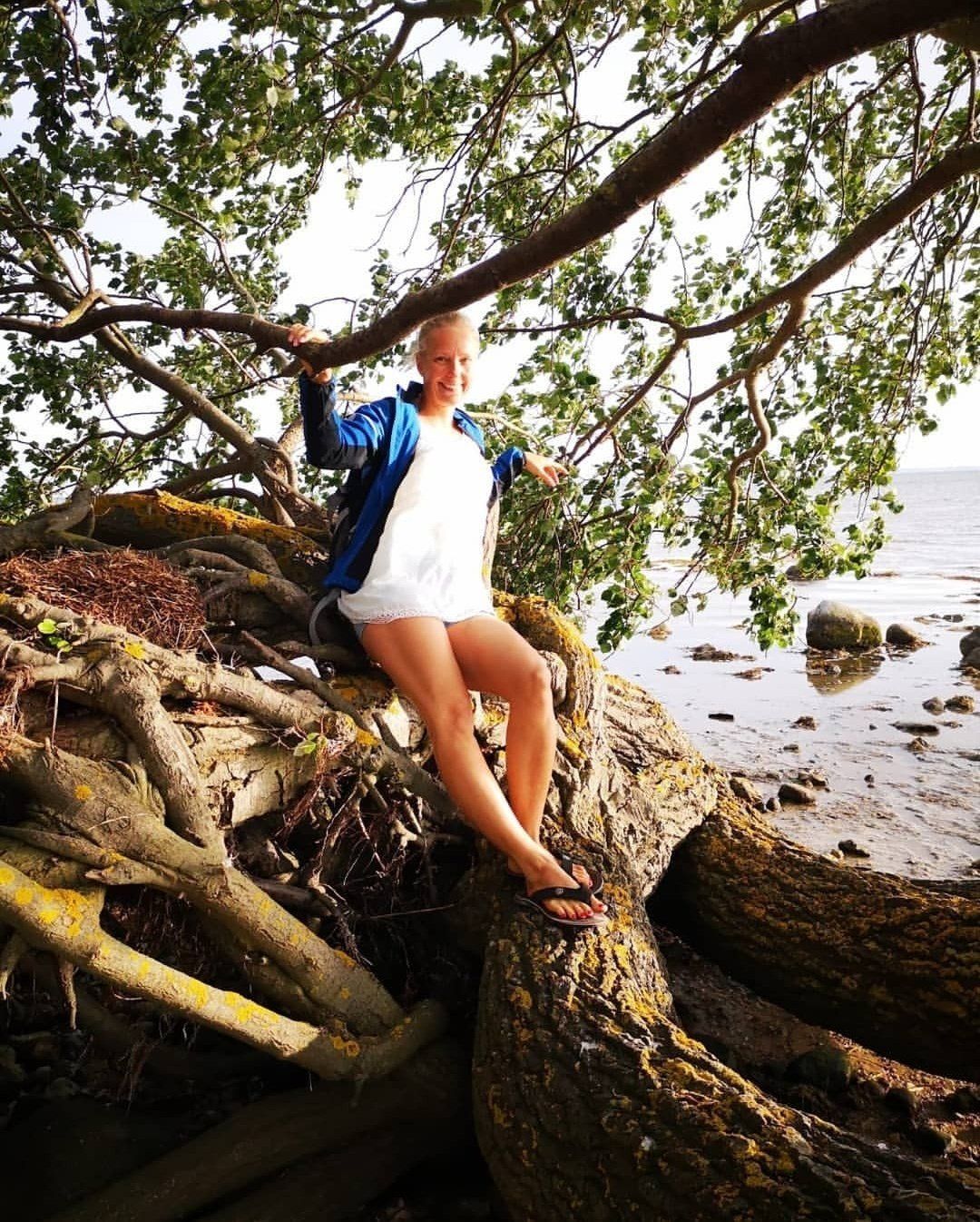 Strand umgestürzte Bäume Fehmarn Naturküste Krimi Nadine Witt Autorin