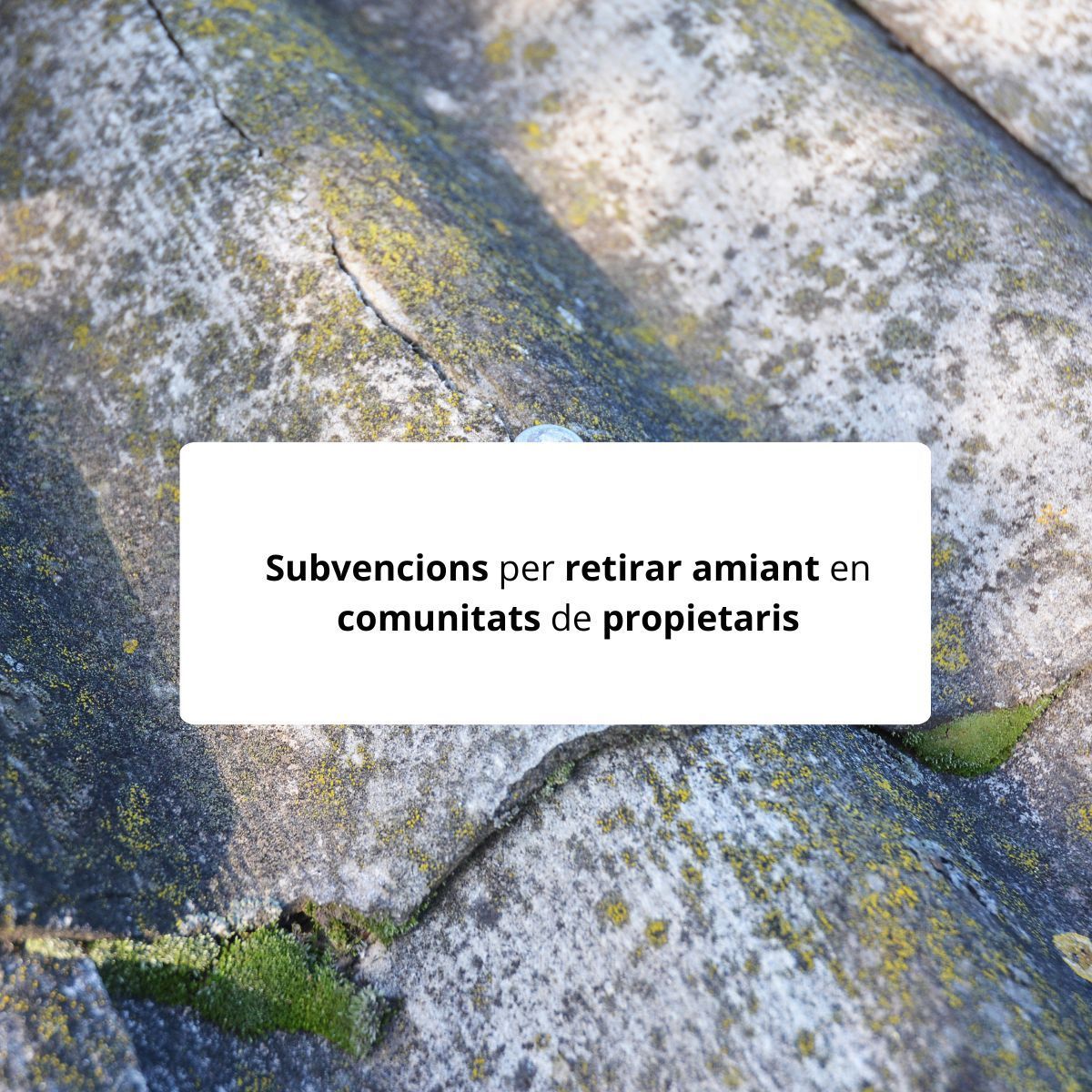 Subvencions per retirar amiant en comunitats de propietaris: Grup Bueso t’ajuda amb el tràmit