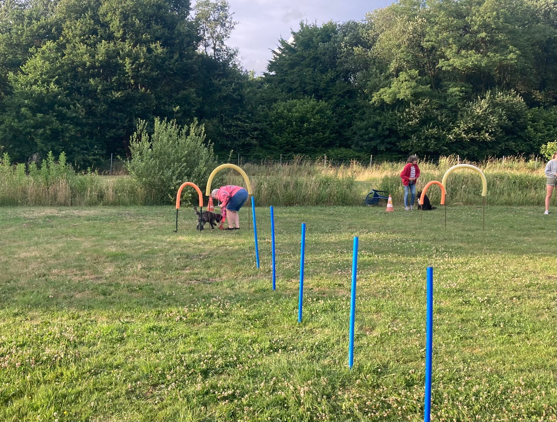 Mannschafts-Spiele mit Hund