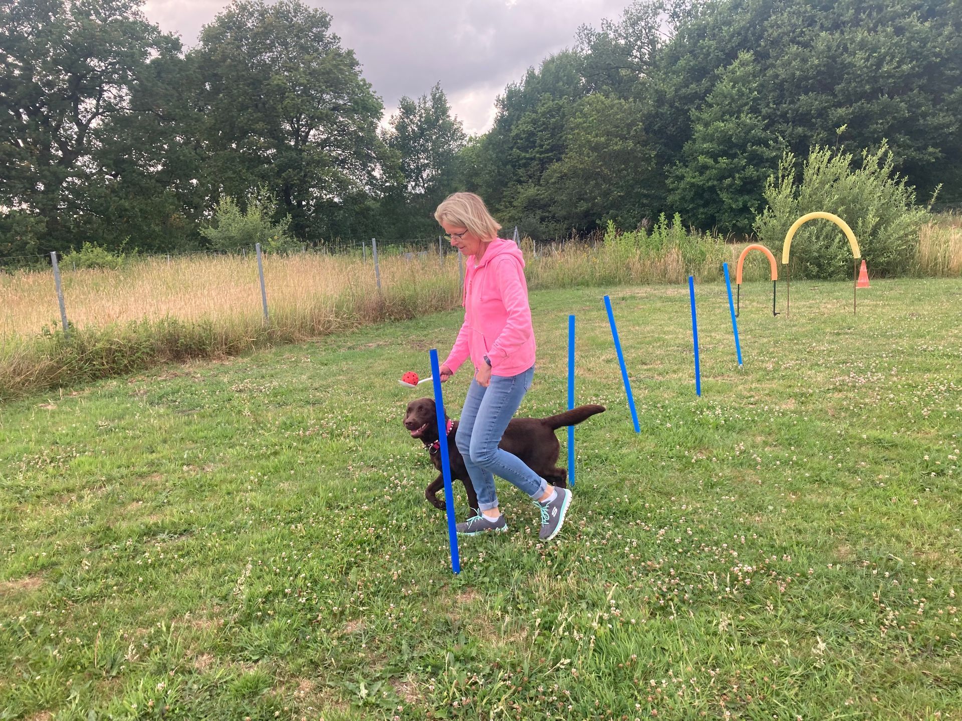 Mannschafts-Spiele mit Hund