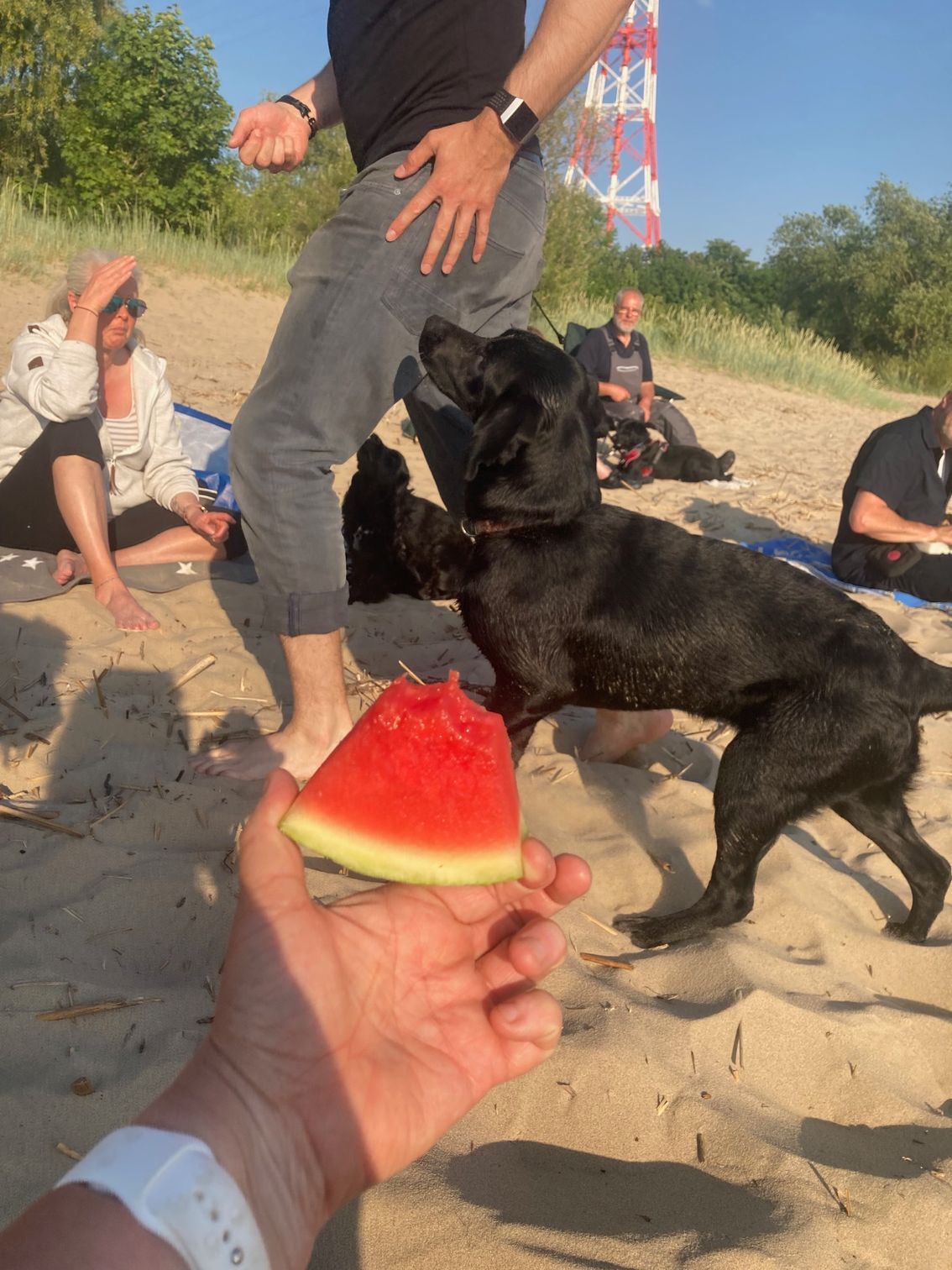 Ich sehe die Melone garnicht ? Strandtraining