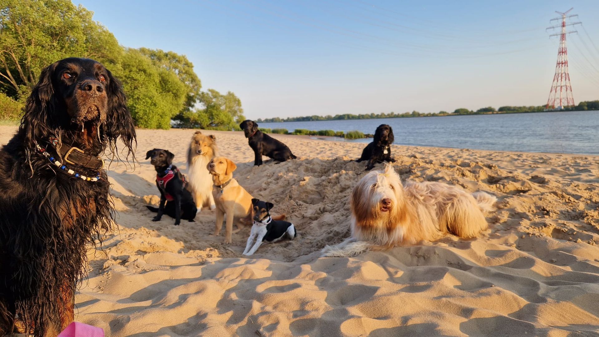 Gruppe die sich zu benehmen weiß Strandtraining