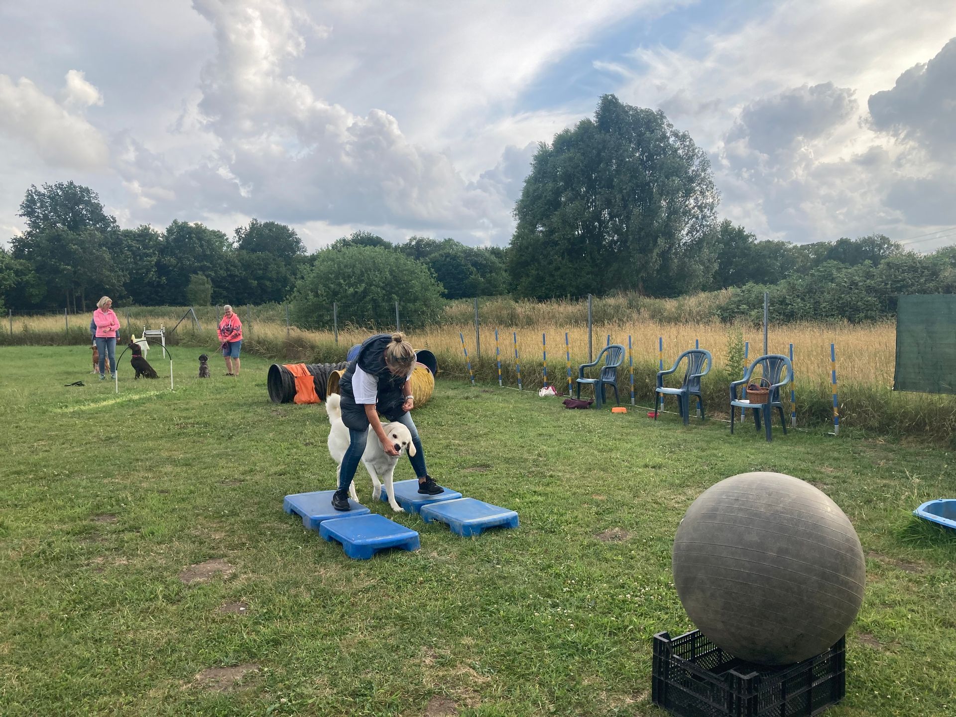 Mannschafts-Spiele mit Hund