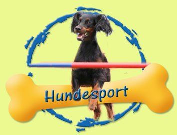 Hundesport Hundeschule Kummerfeld