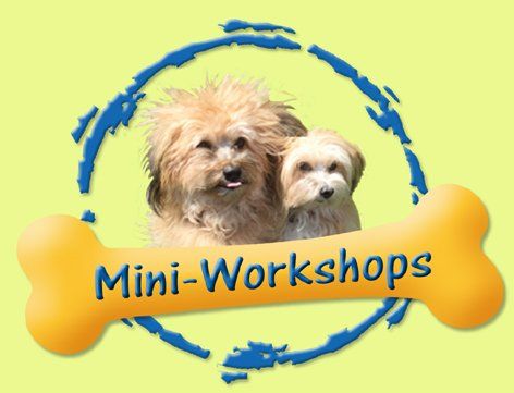 Mini-Workshop