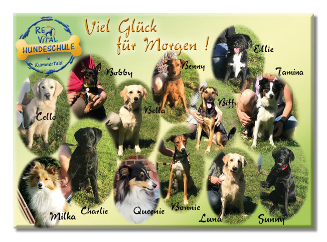 So drücke ich meinen Schülern die Daumen Viel Glück