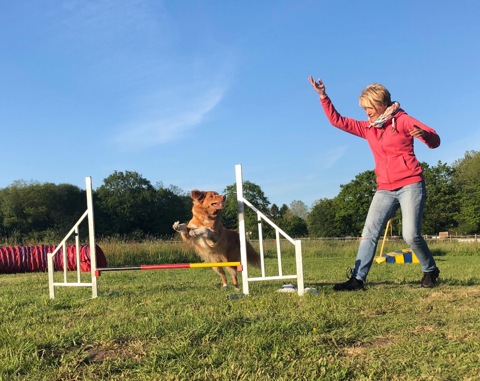 Das kann dein Hund auch Agility Kreis Pinneberg