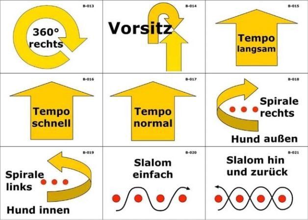 Sieht erstmal kompliziert aus, ist es aber nicht Schilder Rally Obedience